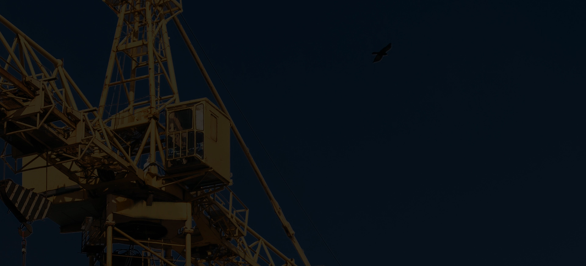Zhejiang Shuangniao Lifting Equipment Co., Ltd.